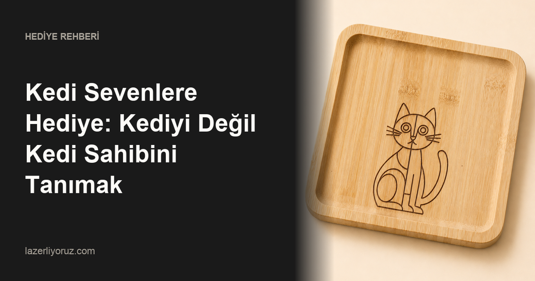 Kedi Sevenlere Hediye: Kediyi Değil Kedi Sahibini Tanımak — Lazerliyoruz